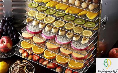 محبوب ترین دستگاه میوه خشک کن از نظر خریداران